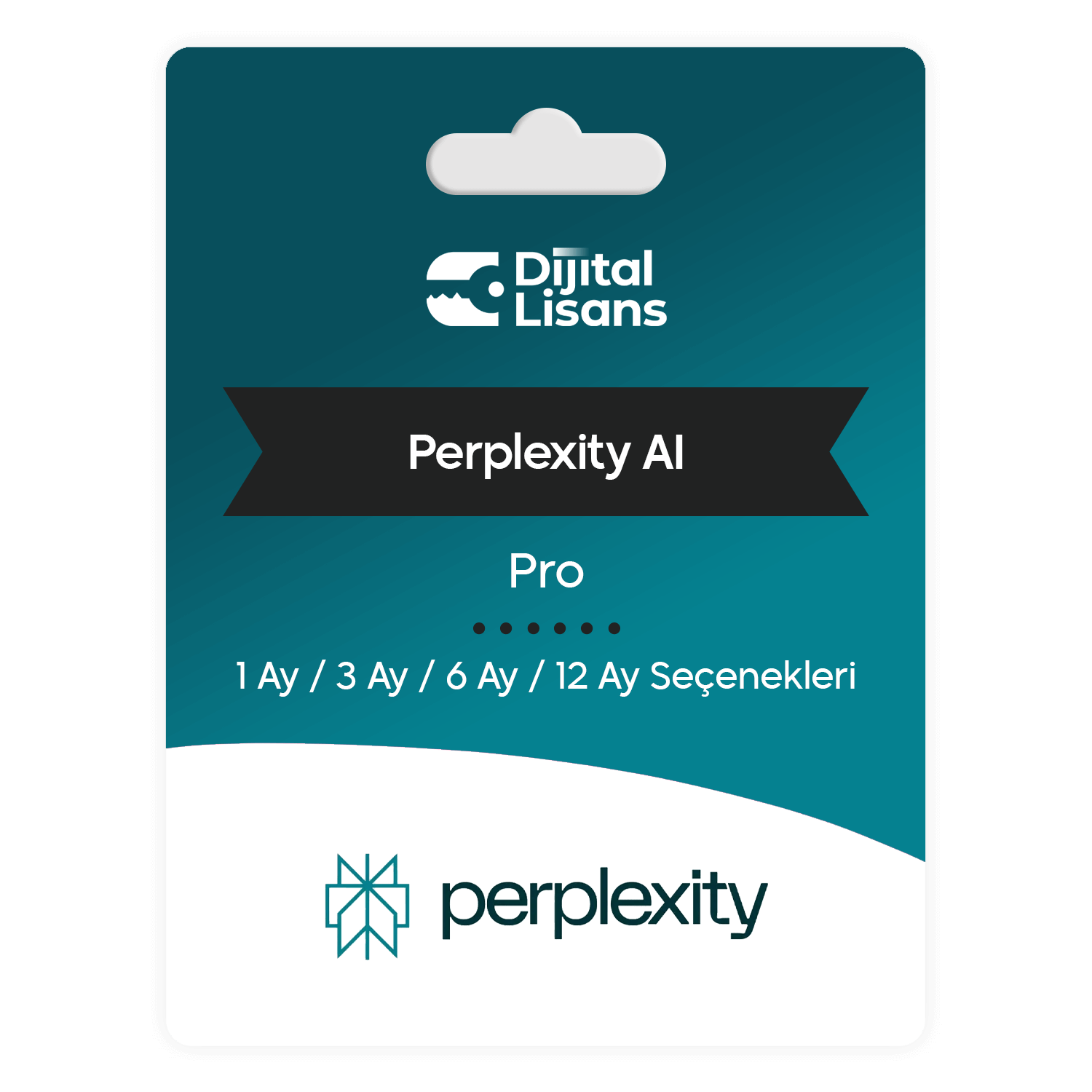 Perplexity AI Pro Perplexity AI Pro